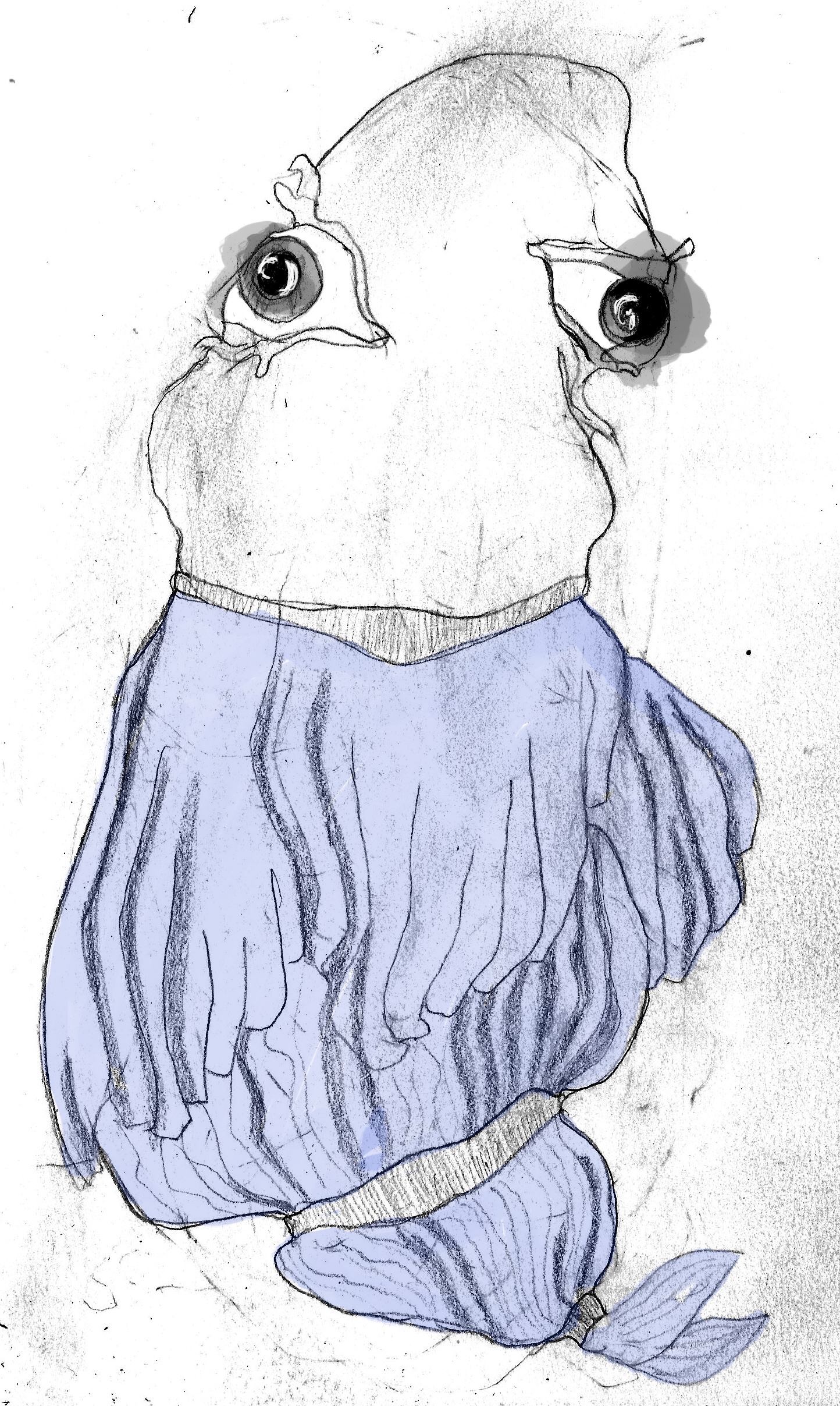 machin 34 - Michel DALMAZZO