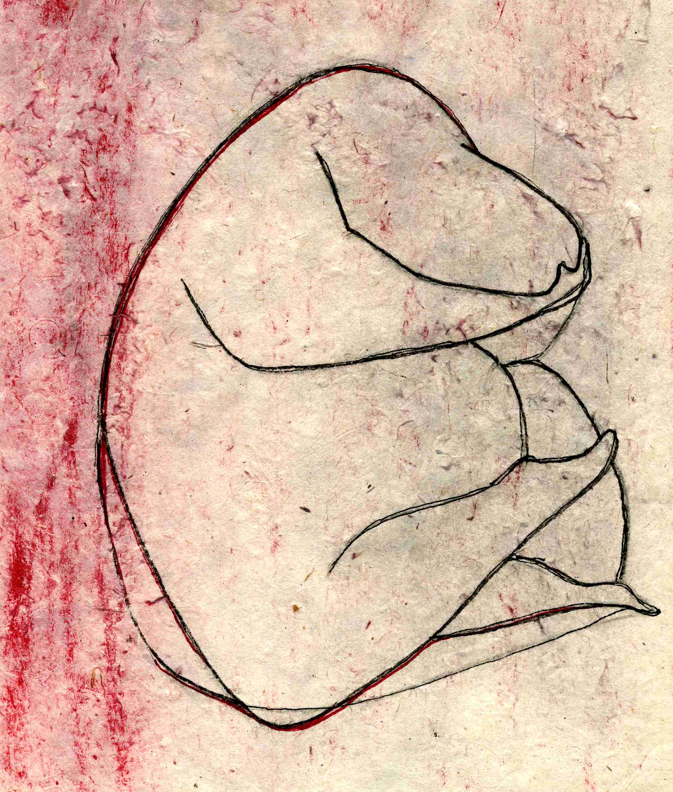 Vélin 7 - Michel DALMAZZO