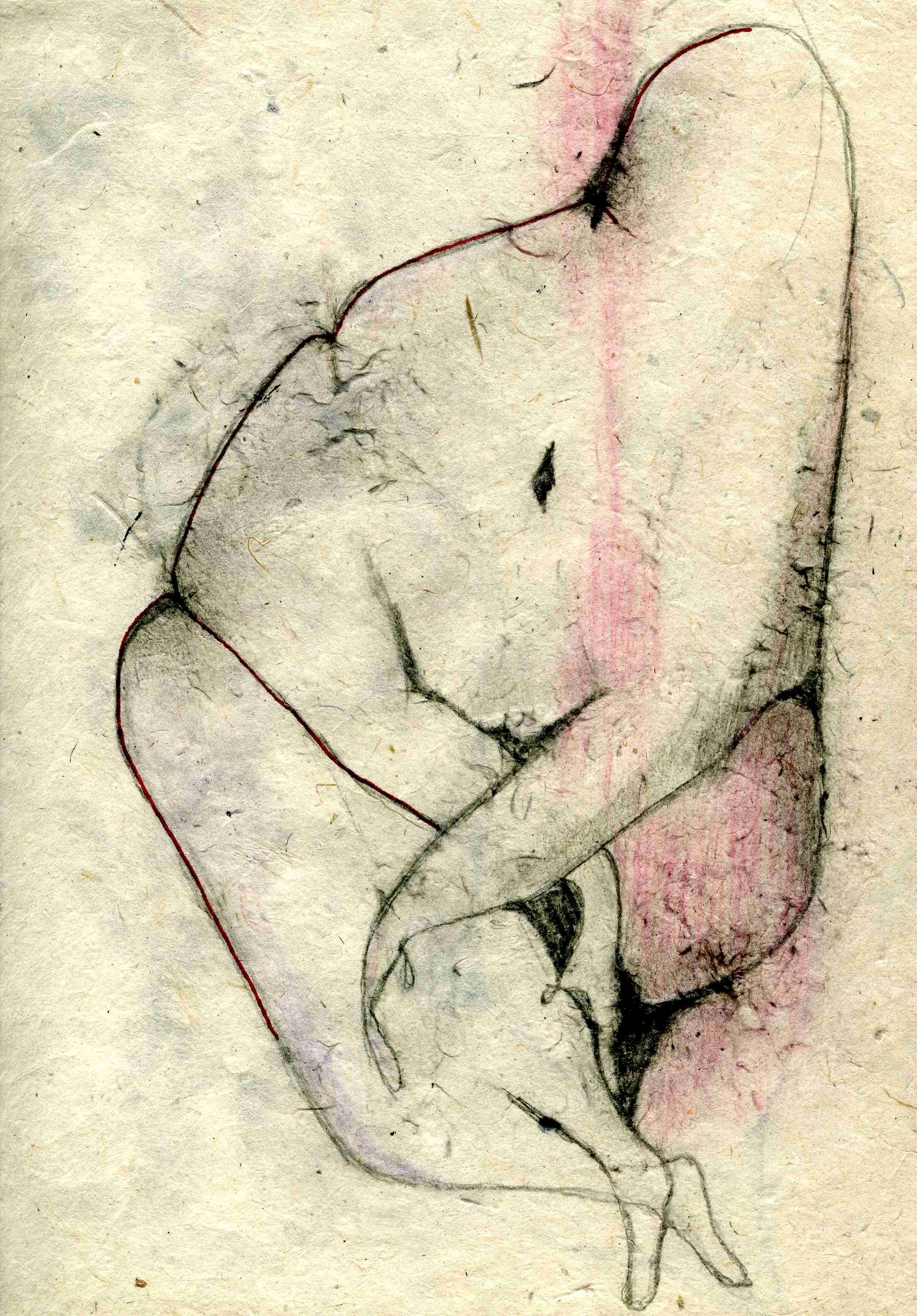 Vélin 10 - Michel DALMAZZO