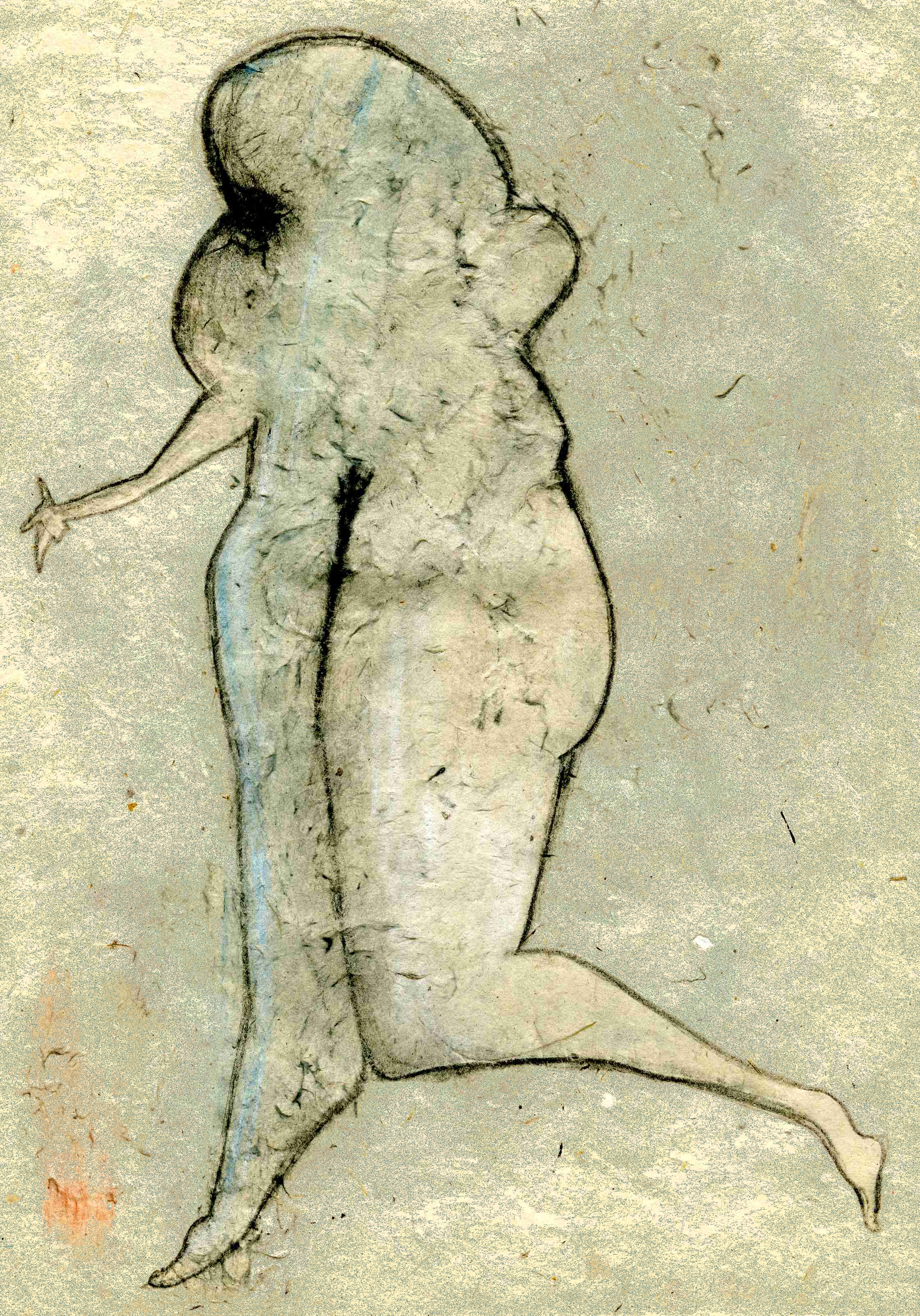 Vélin 15 - Michel DALMAZZO