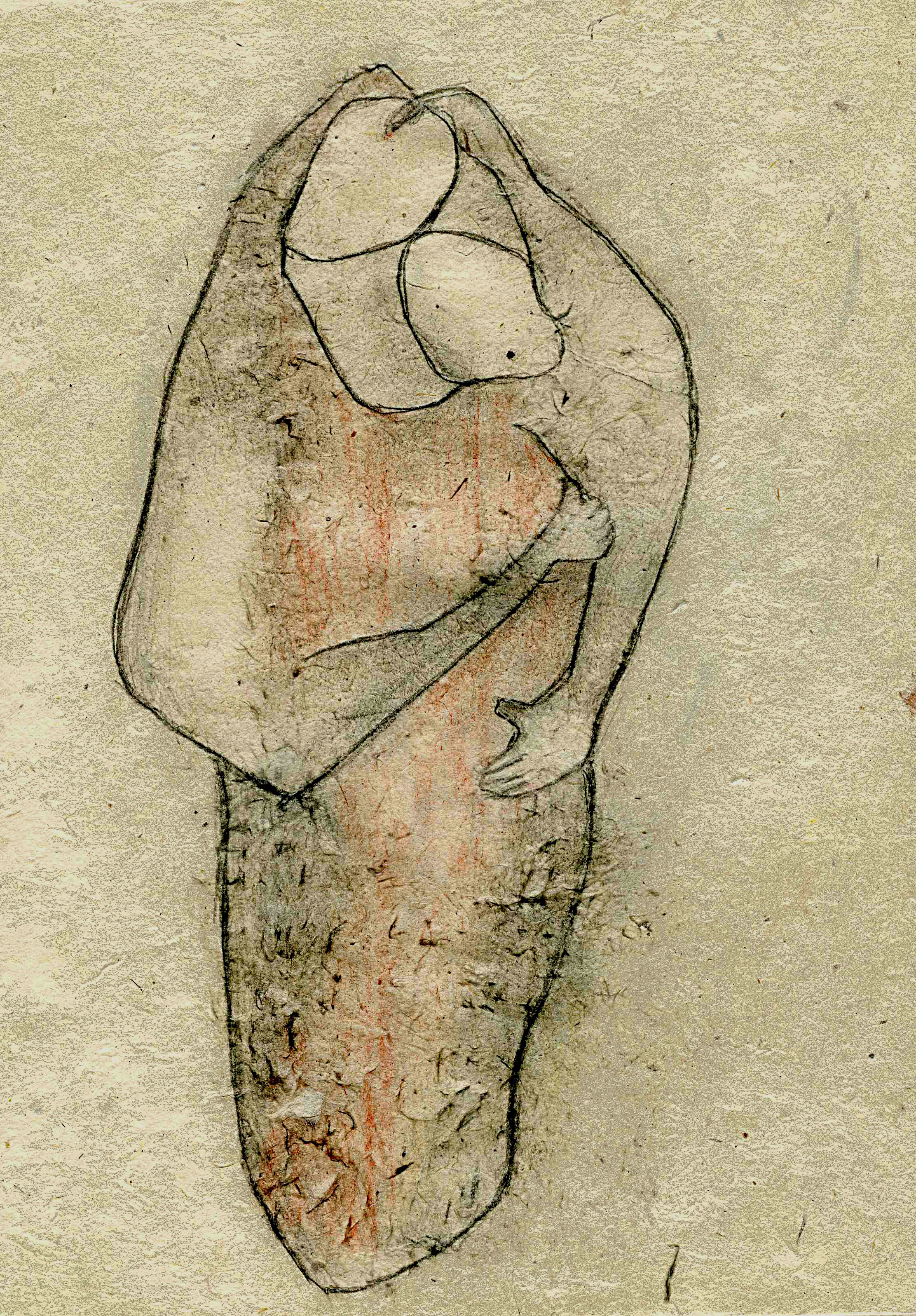 Velin 17 - Michel DALMAZZO