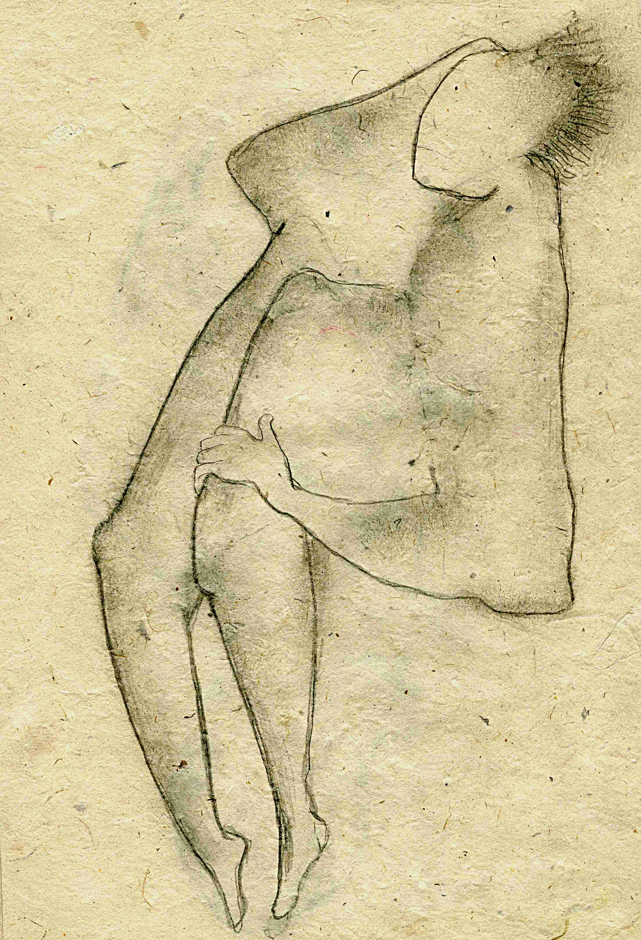 Vélin 18 - Michel DALMAZZO