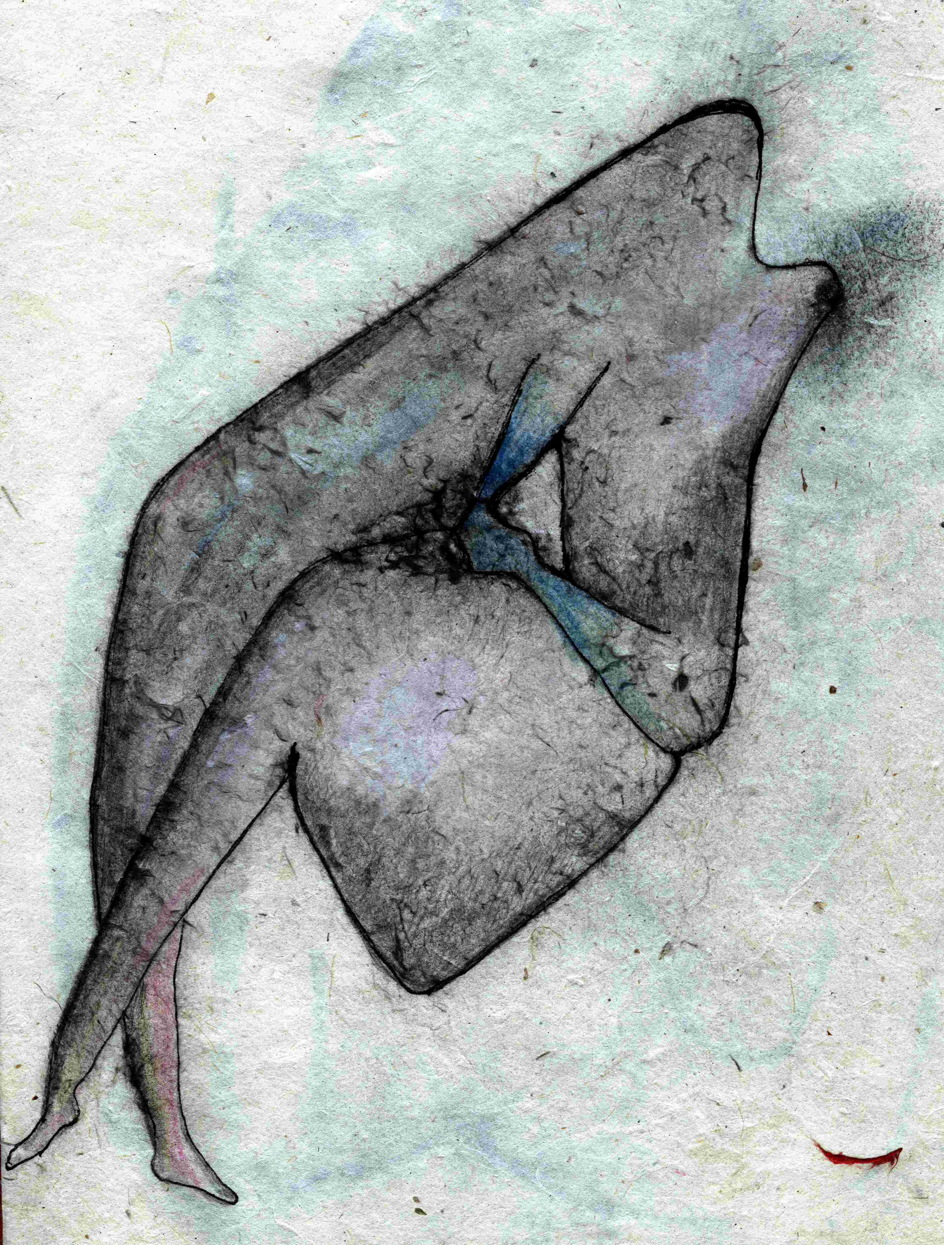 Velin 20 - Michel DALMAZZO